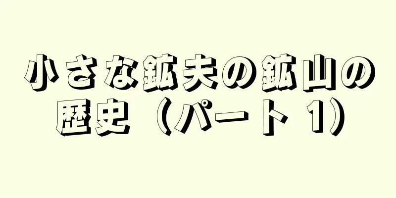 小さな鉱夫の鉱山の歴史（パート 1）