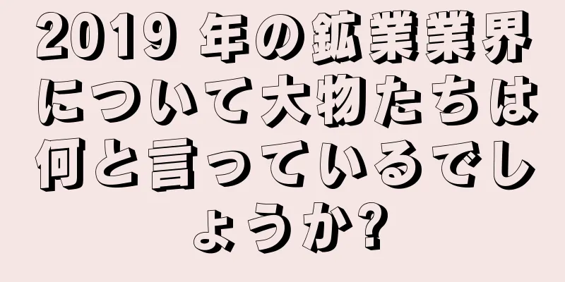 2019 年の鉱業業界について大物たちは何と言っているでしょうか?
