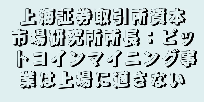 上海証券取引所資本市場研究所所長：ビットコインマイニング事業は上場に適さない