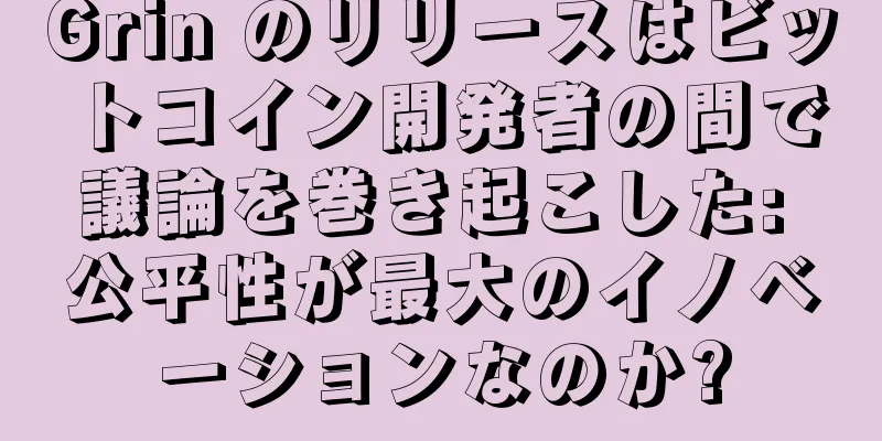 Grin のリリースはビットコイン開発者の間で議論を巻き起こした: 公平性が最大のイノベーションなのか?