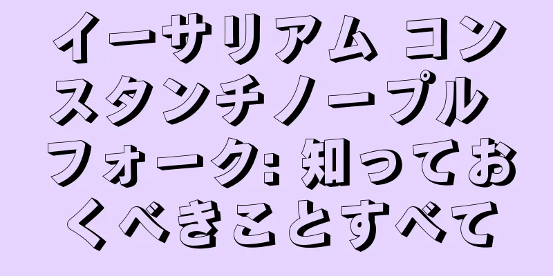 イーサリアム コンスタンチノープル フォーク: 知っておくべきことすべて
