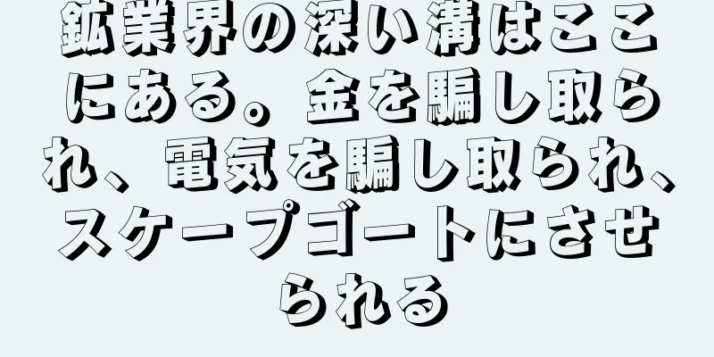 鉱業界の深い溝はここにある。金を騙し取られ、電気を騙し取られ、スケープゴートにさせられる