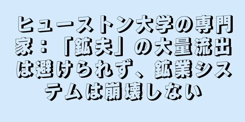 ヒューストン大学の専門家：「鉱夫」の大量流出は避けられず、鉱業システムは崩壊しない