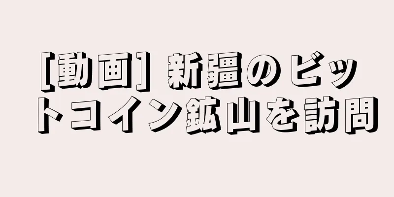 [動画] 新疆のビットコイン鉱山を訪問