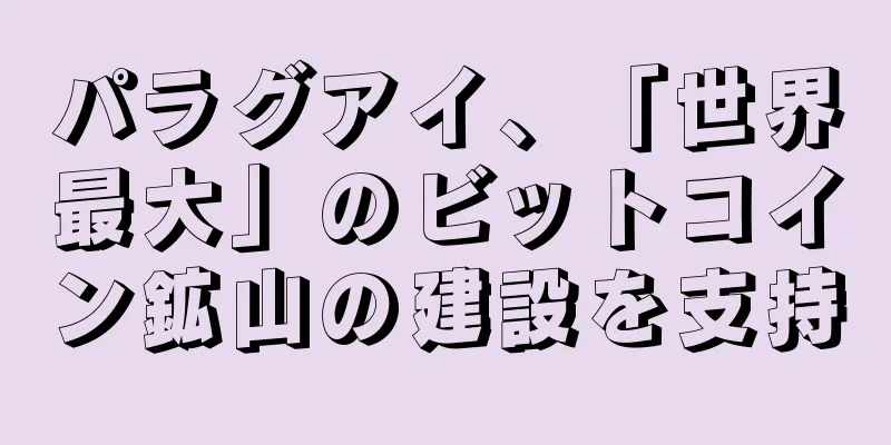 パラグアイ、「世界最大」のビットコイン鉱山の建設を支持