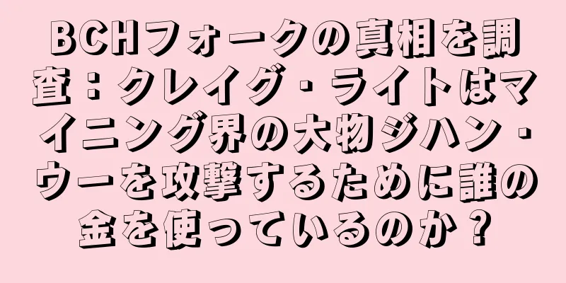 BCHフォークの真相を調査：クレイグ・ライトはマイニング界の大物ジハン・ウーを攻撃するために誰の金を使っているのか？