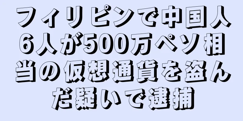 フィリピンで中国人6人が500万ペソ相当の仮想通貨を盗んだ疑いで逮捕