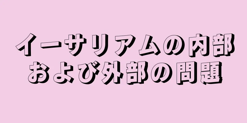 イーサリアムの内部および外部の問題
