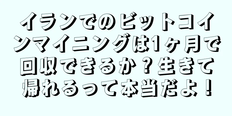 イランでのビットコインマイニングは1ヶ月で回収できるか？生きて帰れるって本当だよ！