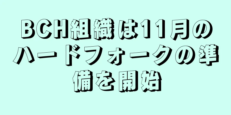 BCH組織は11月のハードフォークの準備を開始