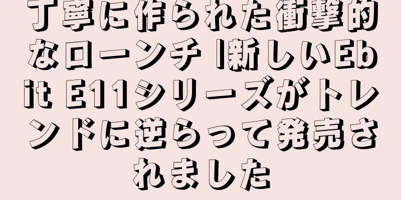 丁寧に作られた衝撃的なローンチ |新しいEbit E11シリーズがトレンドに逆らって発売されました