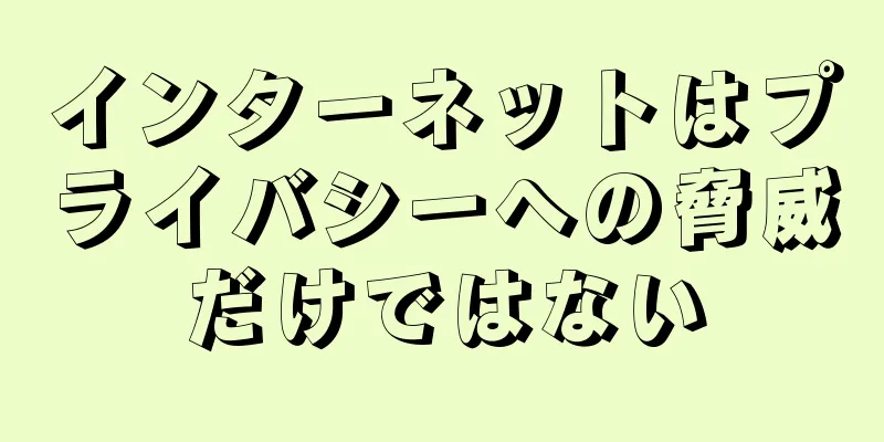 インターネットはプライバシーへの脅威だけではない