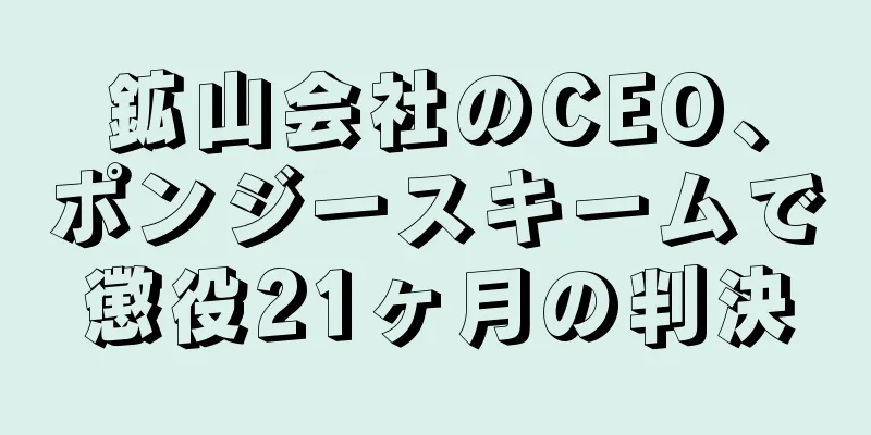 鉱山会社のCEO、ポンジースキームで懲役21ヶ月の判決