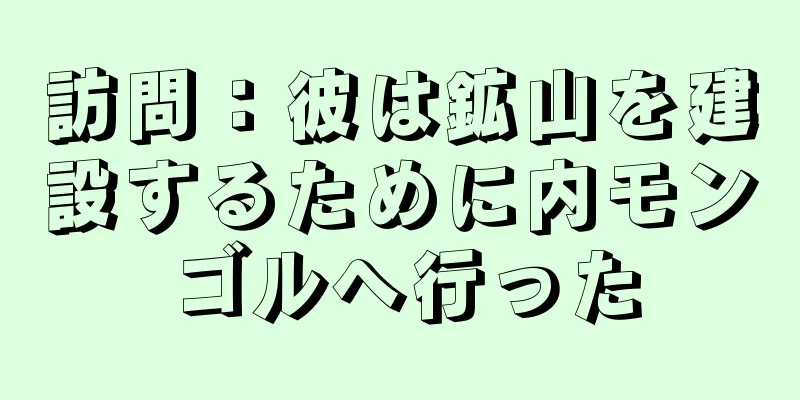 訪問：彼は鉱山を建設するために内モンゴルへ行った