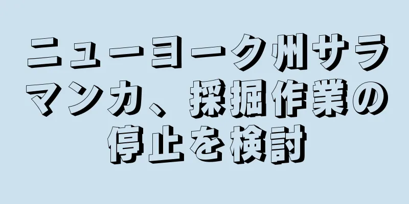ニューヨーク州サラマンカ、採掘作業の停止を検討