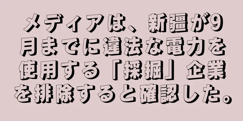 メディアは、新疆が9月までに違法な電力を使用する「採掘」企業を排除すると確認した。