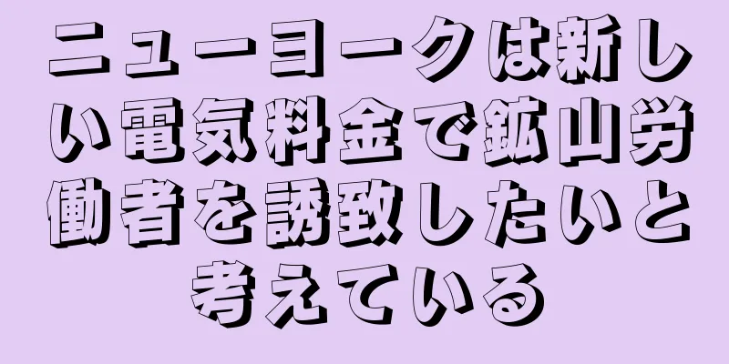 ニューヨークは新しい電気料金で鉱山労働者を誘致したいと考えている