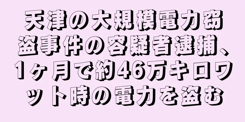 天津の大規模電力窃盗事件の容疑者逮捕、1ヶ月で約46万キロワット時の電力を盗む
