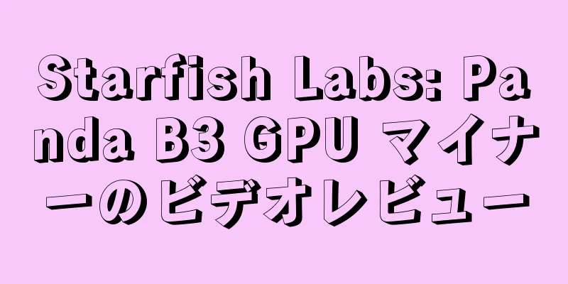 Starfish Labs: Panda B3 GPU マイナーのビデオレビュー