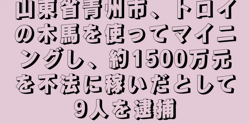 山東省青州市、トロイの木馬を使ってマイニングし、約1500万元を不法に稼いだとして9人を逮捕