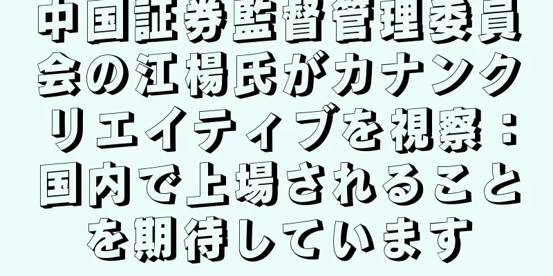 中国証券監督管理委員会の江楊氏がカナンクリエイティブを視察：国内で上場されることを期待しています