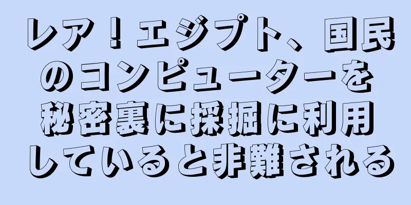 レア！エジプト、国民のコンピューターを秘密裏に採掘に利用していると非難される