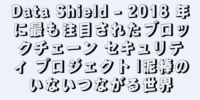Data Shield - 2018 年に最も注目されたブロックチェーン セキュリティ プロジェクト |泥棒のいないつながる世界