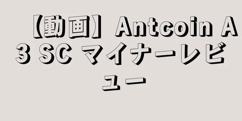 【動画】Antcoin A3 SC マイナーレビュー