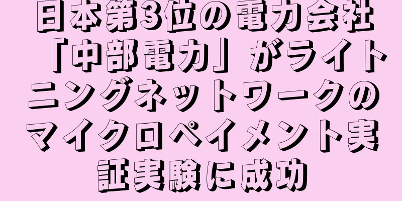 日本第3位の電力会社「中部電力」がライトニングネットワークのマイクロペイメント実証実験に成功