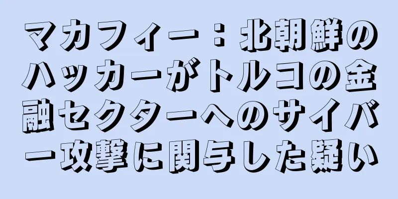 マカフィー：北朝鮮のハッカーがトルコの金融セクターへのサイバー攻撃に関与した疑い
