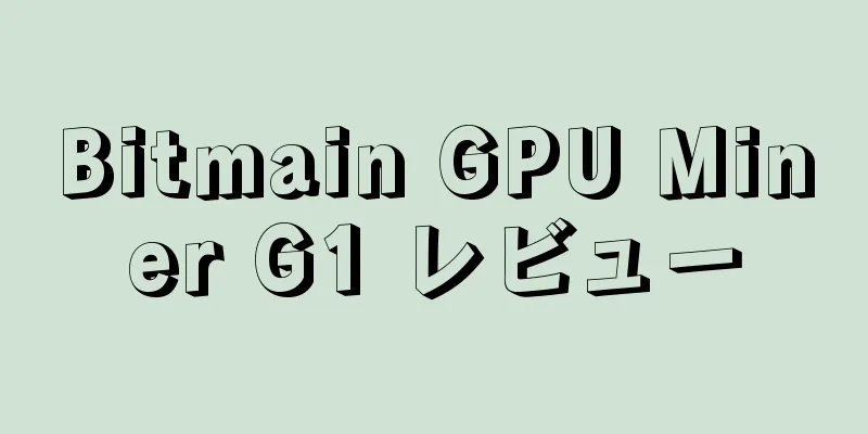 Bitmain GPU Miner G1 レビュー