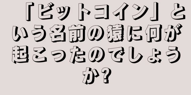 「ビットコイン」という名前の猿に何が起こったのでしょうか?