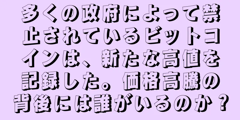 多くの政府によって禁止されているビットコインは、新たな高値を記録した。価格高騰の背後には誰がいるのか？