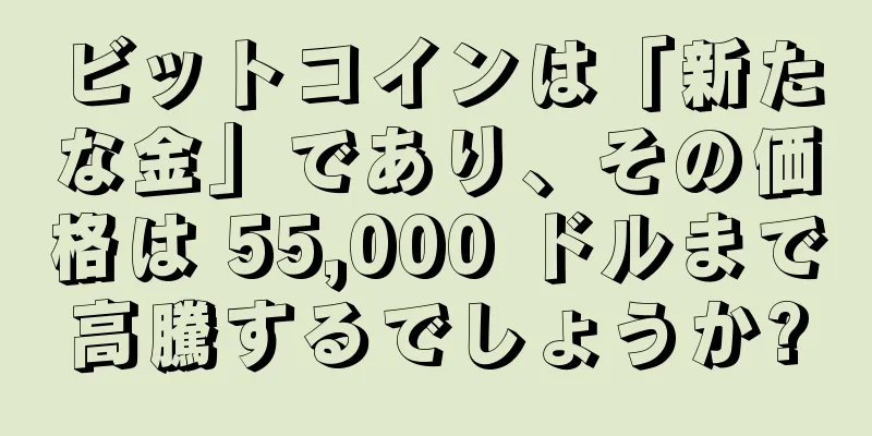 ビットコインは「新たな金」であり、その価格は 55,000 ドルまで高騰するでしょうか?