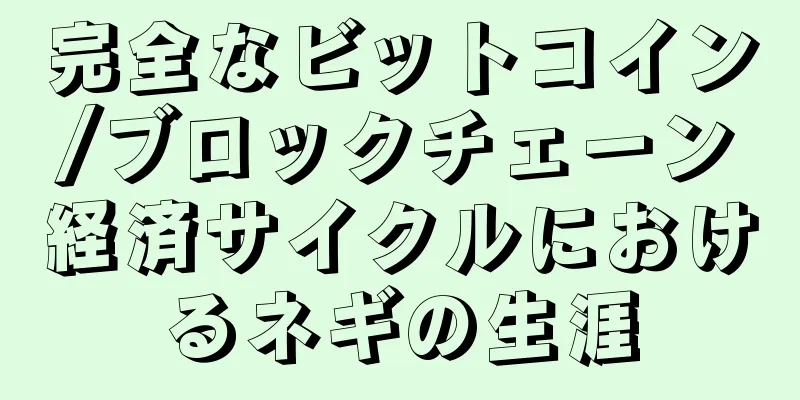 完全なビットコイン/ブロックチェーン経済サイクルにおけるネギの生涯