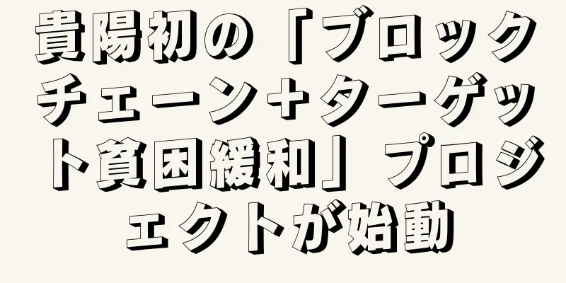 貴陽初の「ブロックチェーン＋ターゲット貧困緩和」プロジェクトが始動
