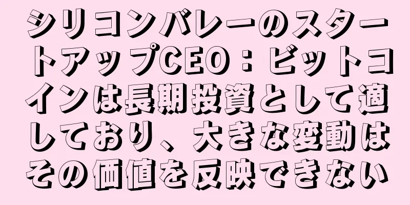 シリコンバレーのスタートアップCEO：ビットコインは長期投資として適しており、大きな変動はその価値を反映できない