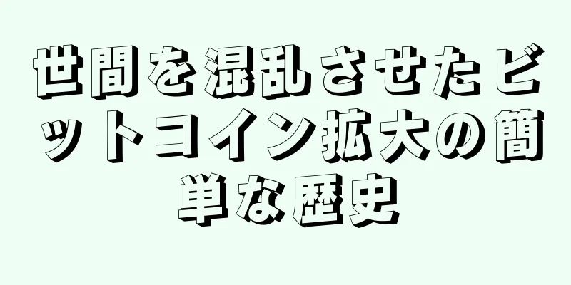 世間を混乱させたビットコイン拡大の簡単な歴史