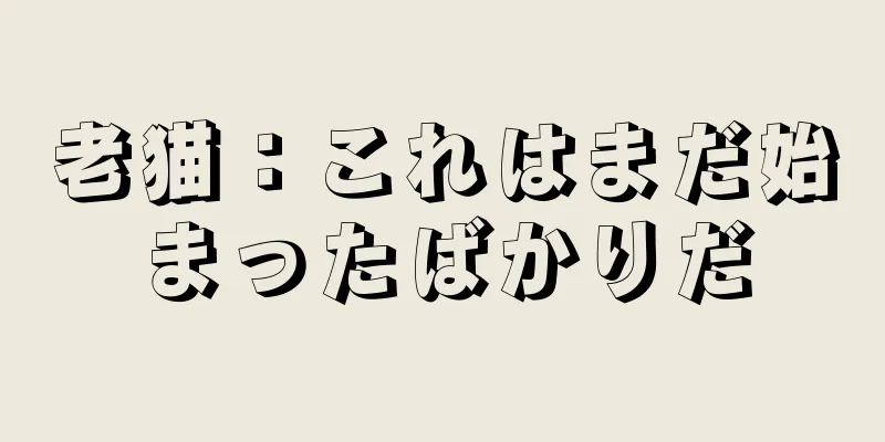 老猫：これはまだ始まったばかりだ