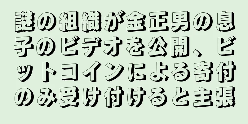謎の組織が金正男の息子のビデオを公開、ビットコインによる寄付のみ受け付けると主張
