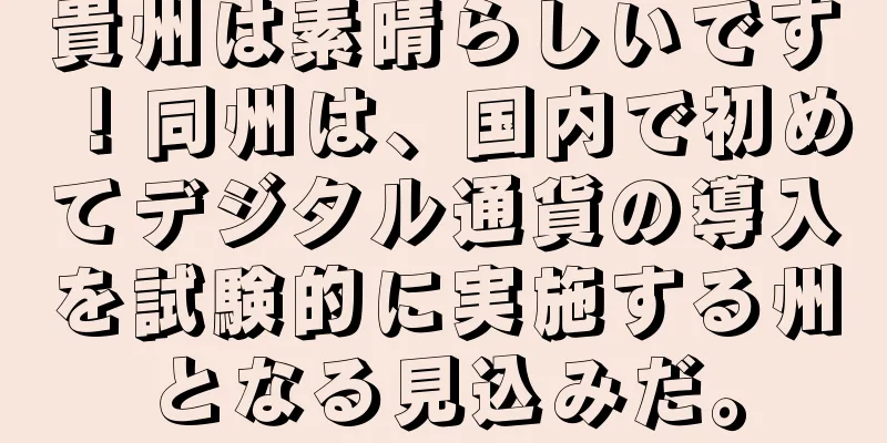 貴州は素晴らしいです！同州は、国内で初めてデジタル通貨の導入を試験的に実施する州となる見込みだ。