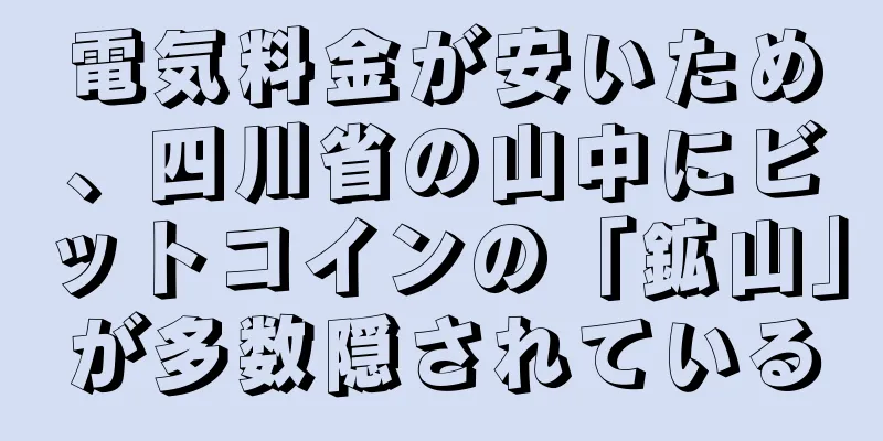 電気料金が安いため、四川省の山中にビットコインの「鉱山」が多数隠されている