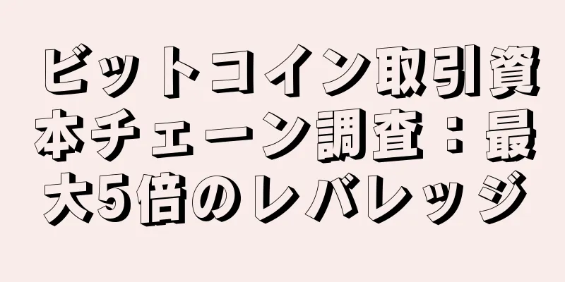 ビットコイン取引資本チェーン調査：最大5倍のレバレッジ
