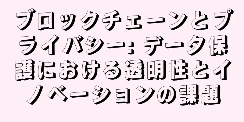 ブロックチェーンとプライバシー: データ保護における透明性とイノベーションの課題
