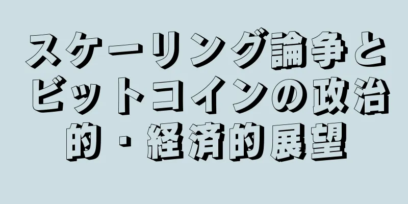 スケーリング論争とビットコインの政治的・経済的展望