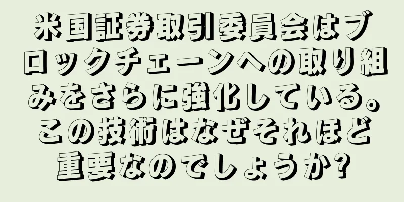 米国証券取引委員会はブロックチェーンへの取り組みをさらに強化している。この技術はなぜそれほど重要なのでしょうか?