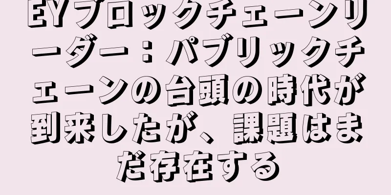 EYブロックチェーンリーダー：パブリックチェーンの台頭の時代が到来したが、課題はまだ存在する