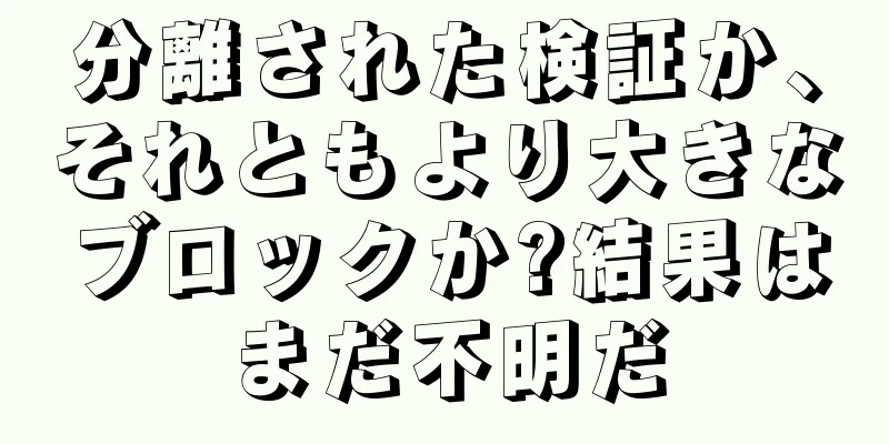 分離された検証か、それともより大きなブロックか?結果はまだ不明だ