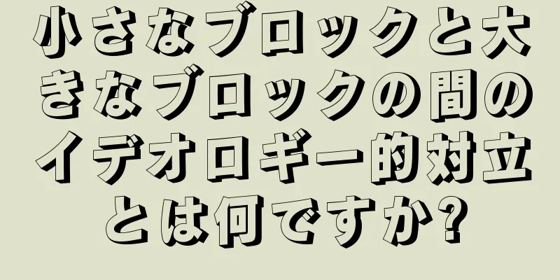 小さなブロックと大きなブロックの間のイデオロギー的対立とは何ですか?