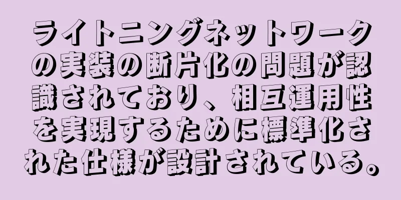 ライトニングネットワークの実装の断片化の問題が認識されており、相互運用性を実現するために標準化された仕様が設計されている。